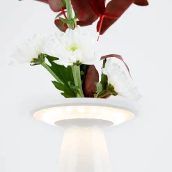 Sigor Nuflair LED Akkuleuchte & Vase