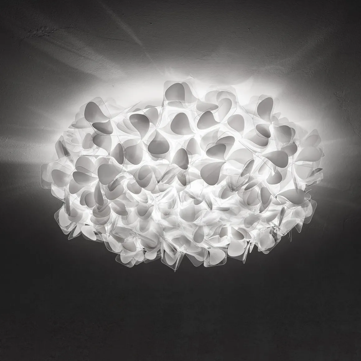 Slamp Clizia Mama non Mama Ceiling / Wall Large