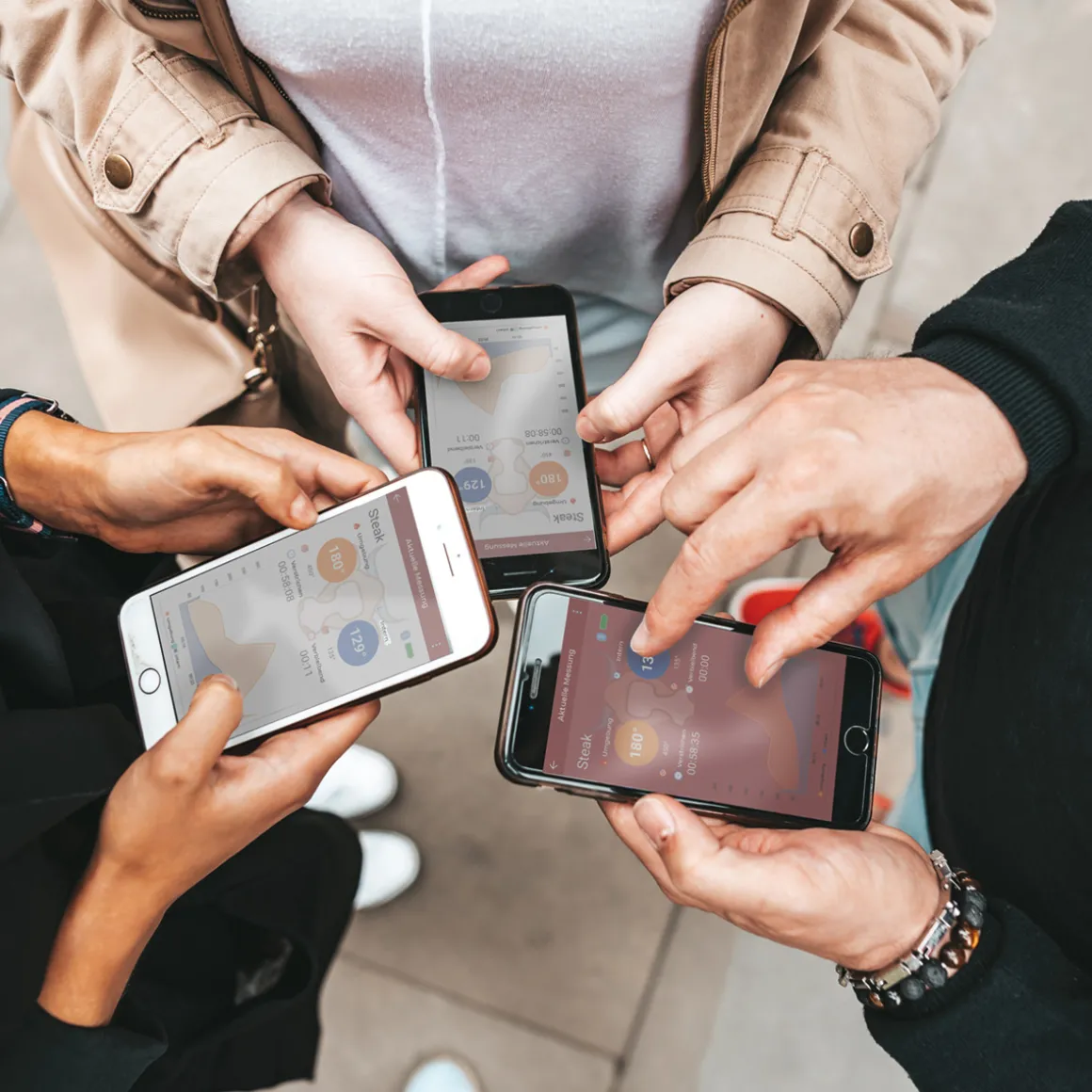 The MeatStick Set 3 The MeatStick inkl. WiFi Bridge, Ladegerät & Tasche