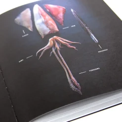 Yakiniku Japanischer Grill Kochbuch