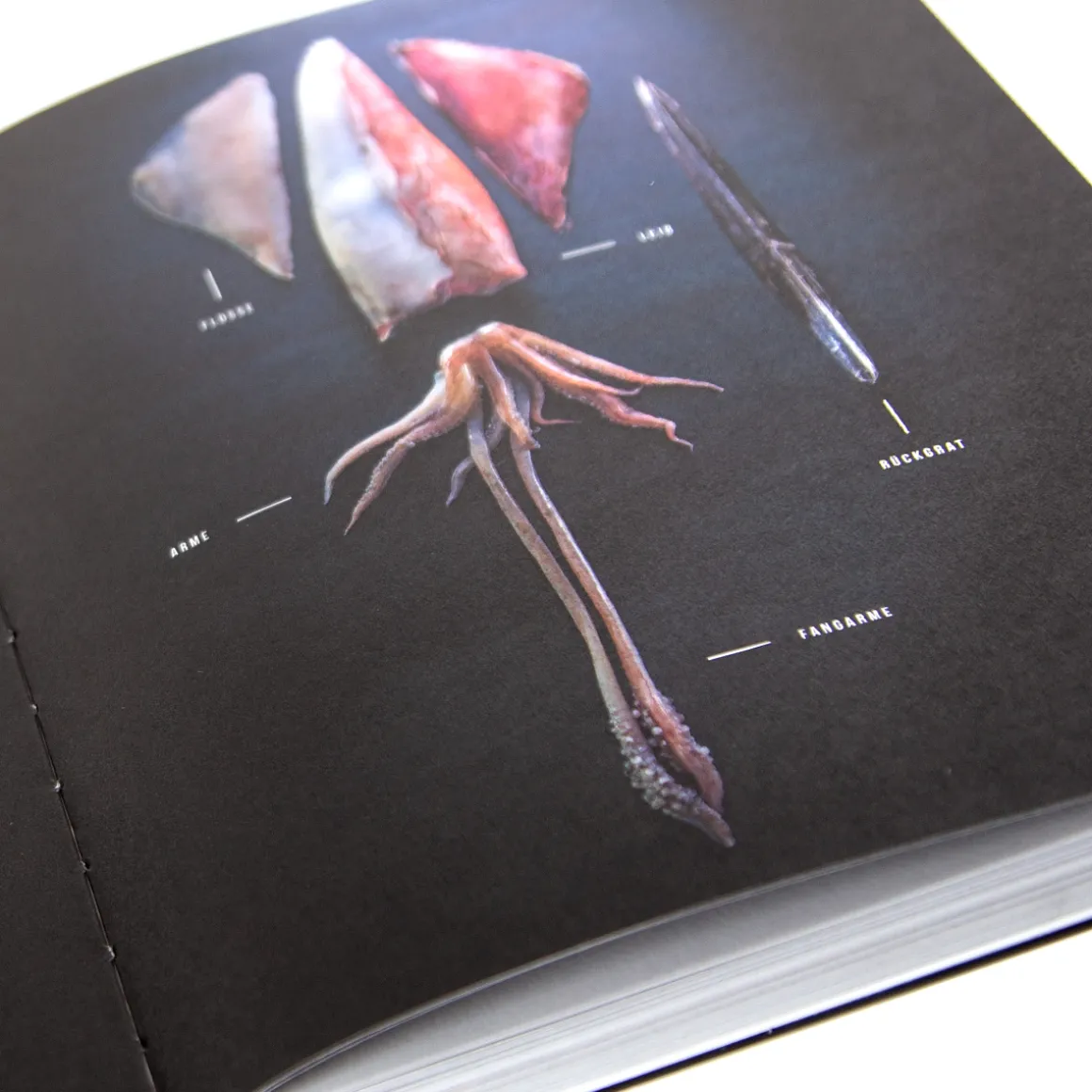 Yakiniku Japanischer Grill Kochbuch