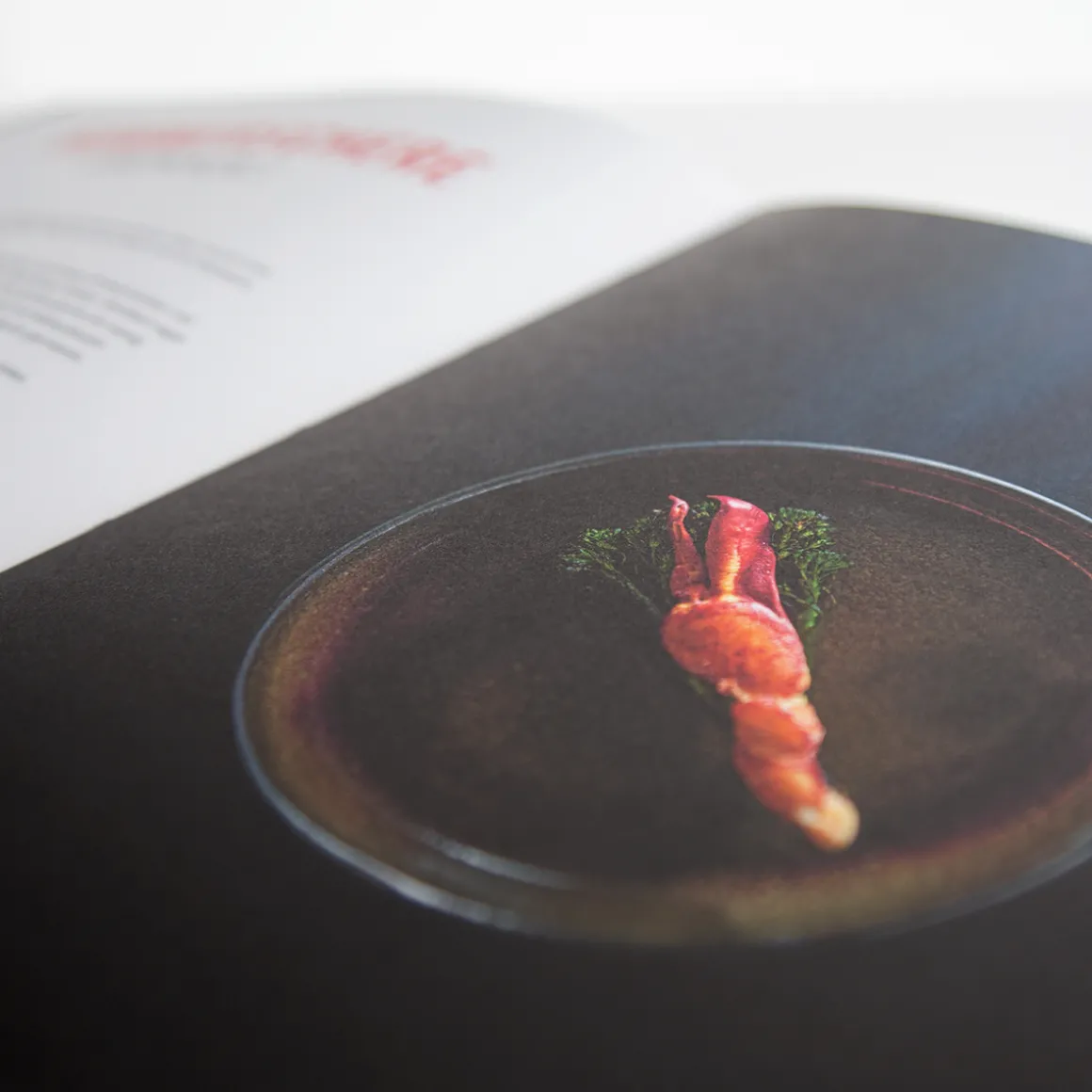Yakiniku Japanischer Grill Kochbuch
