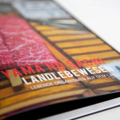 Yakiniku Japanischer Grill Kochbuch