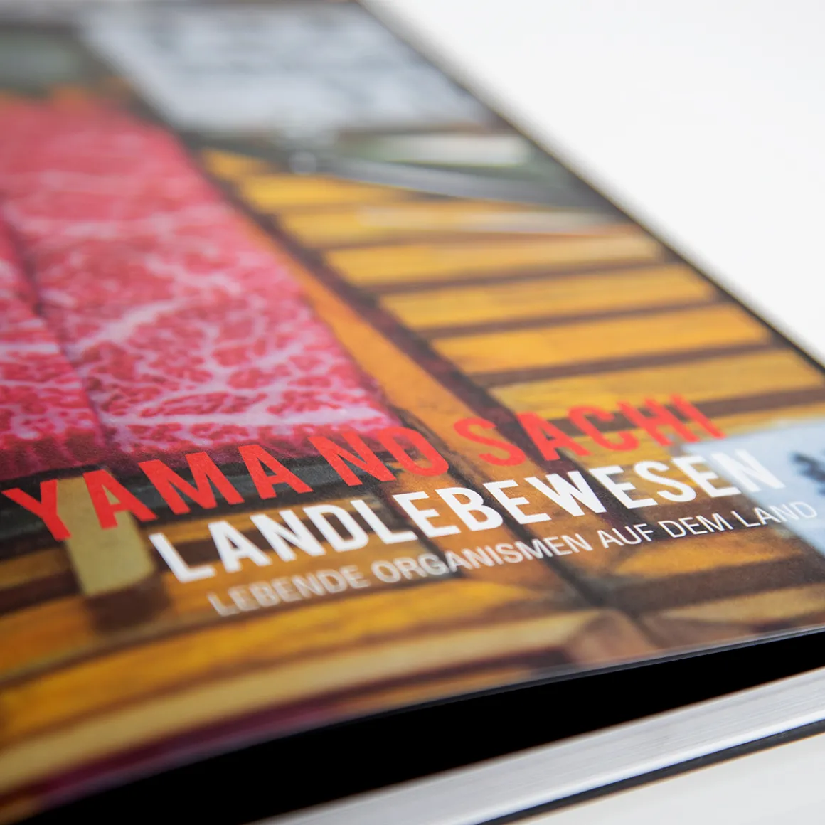 Yakiniku Japanischer Grill Kochbuch