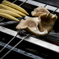 Yakiniku Yakitori Grillspieße, 20 Stück