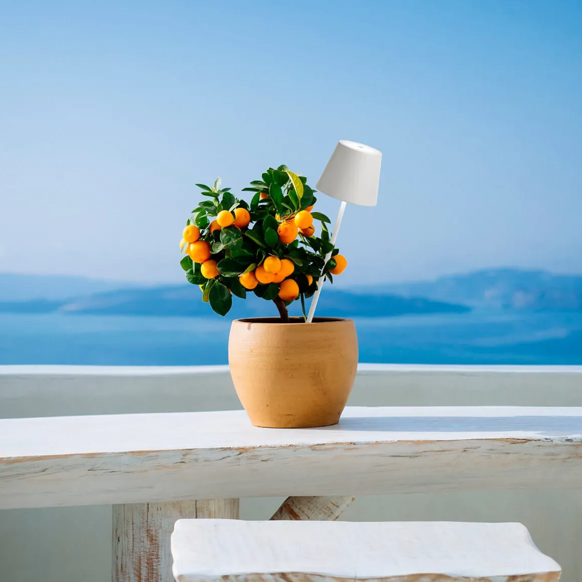 Zafferano AiLati Poldina Picchetto Pro LED Akku-Spießleuchte