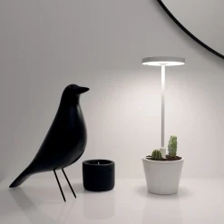 Zafferano AiLati Poldina Reverso Pro LED Akkuleuchte