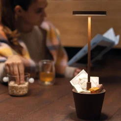 Zafferano AiLati Poldina Reverso Pro LED Akkuleuchte