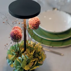 Zafferano AiLati Poldina Reverso Pro LED Akkuleuchte