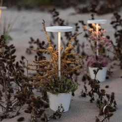 Zafferano AiLati Poldina Reverso Pro LED Akkuleuchte