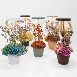 Zafferano AiLati Poldina Reverso Pro LED Akkuleuchte