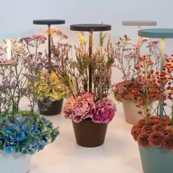 Zafferano AiLati Poldina Reverso Pro LED Akkuleuchte