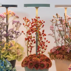 Zafferano AiLati Poldina Reverso Pro LED Akkuleuchte